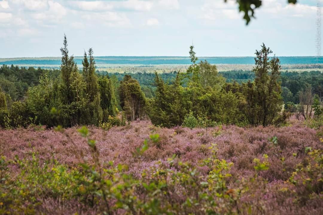 Lejlighed Ram 1 Hermannsburg